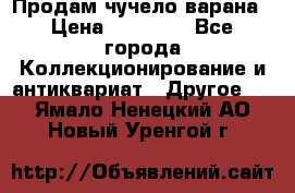 Продам чучело варана › Цена ­ 15 000 - Все города Коллекционирование и антиквариат » Другое   . Ямало-Ненецкий АО,Новый Уренгой г.
